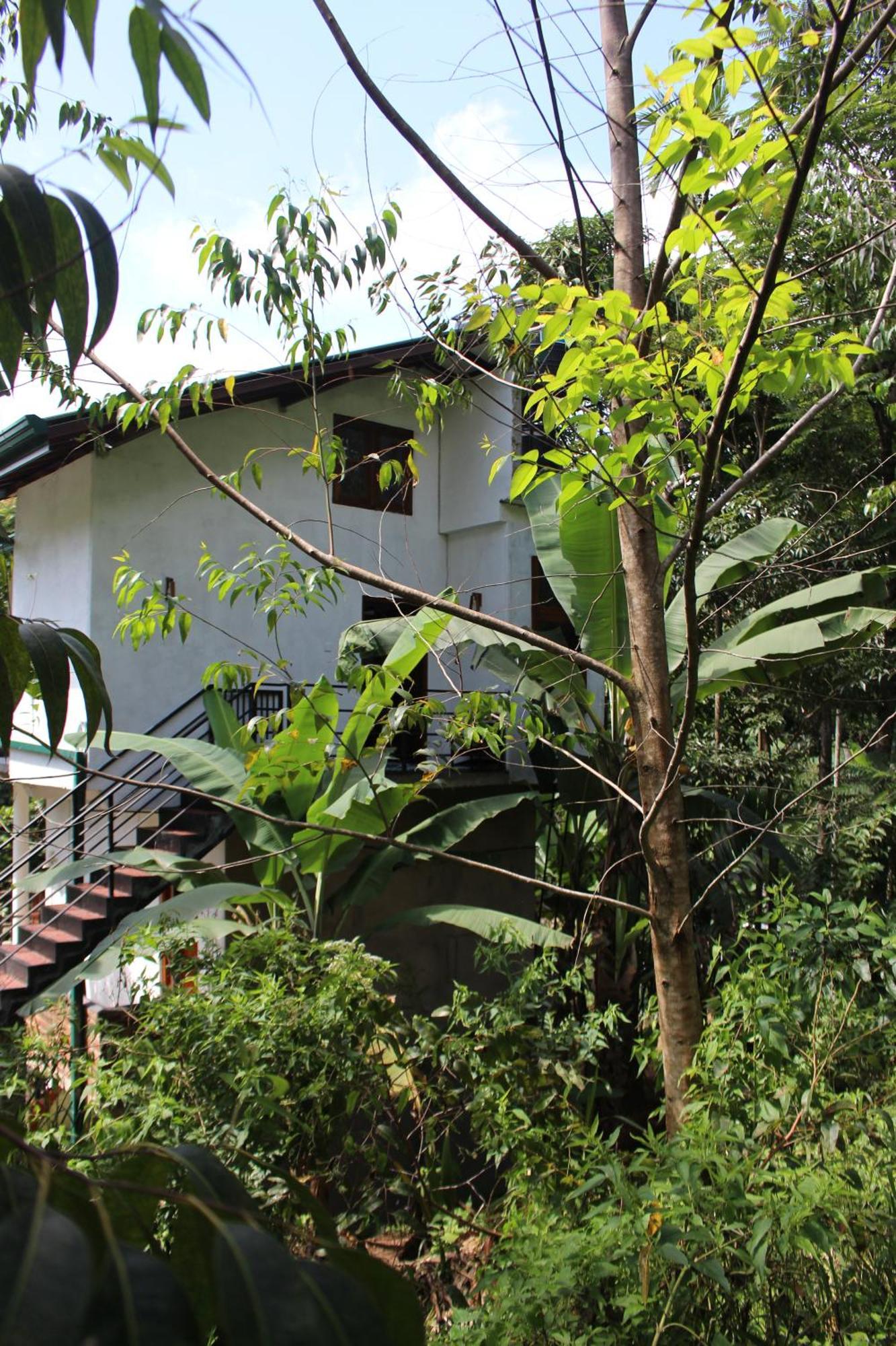 Rest Full Homestay Ella Esterno foto