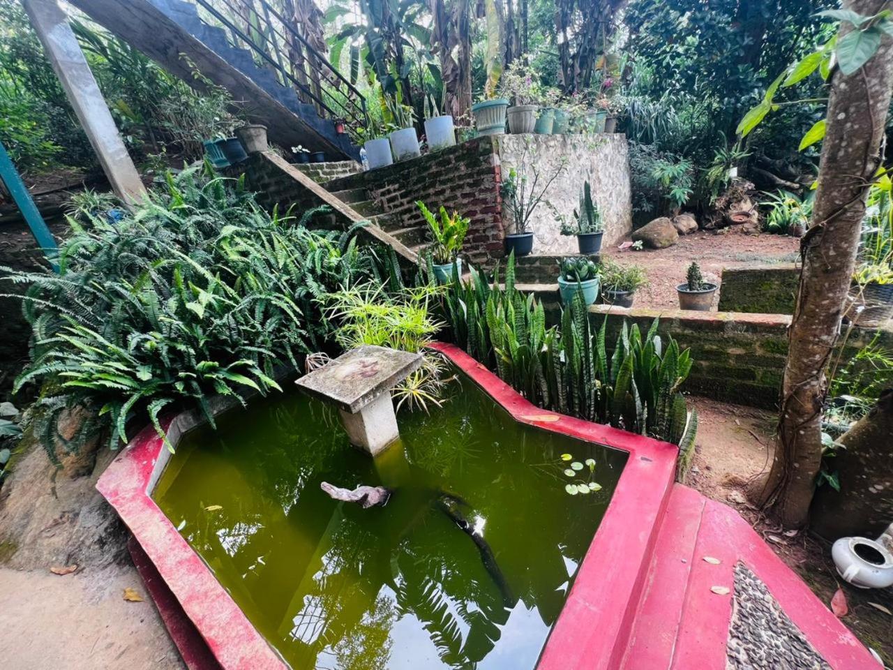 Rest Full Homestay Ella Esterno foto