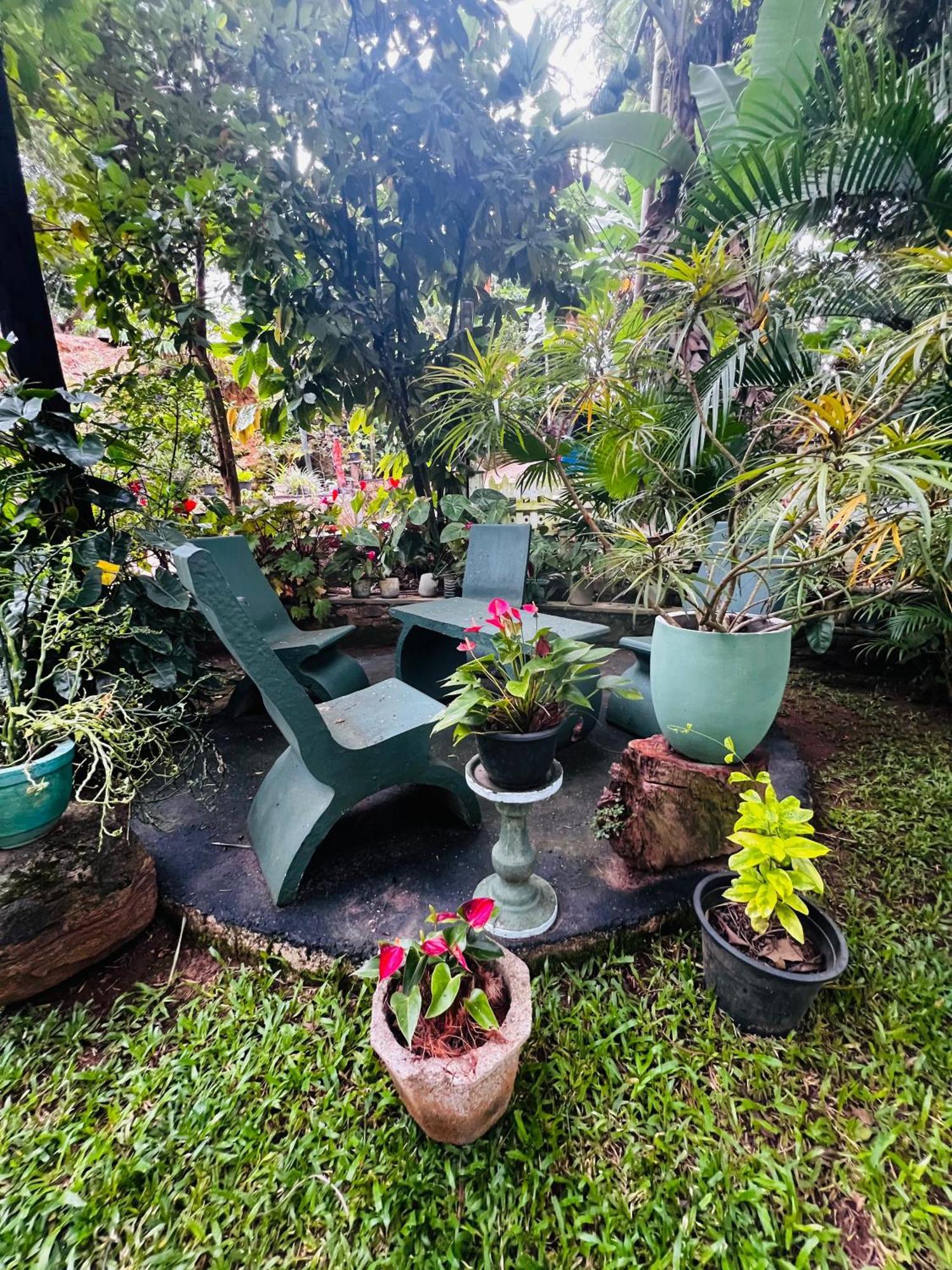 Rest Full Homestay Ella Esterno foto